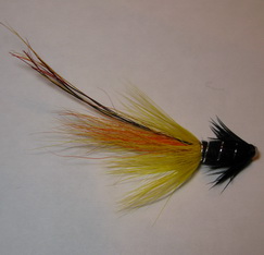Pot Belly Pig Black Yellow tube 0,75